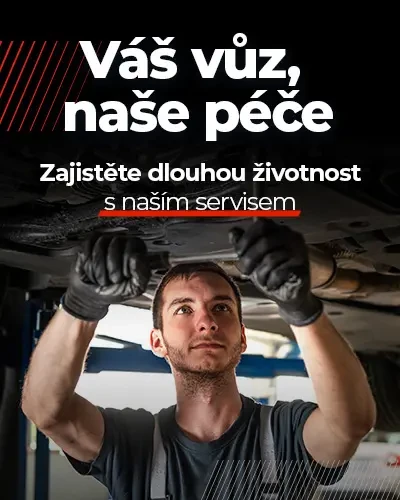 af7204a0-a0b1-47ae-bb6f-5a23d2a90f03laservis-400x500-obecna.webp