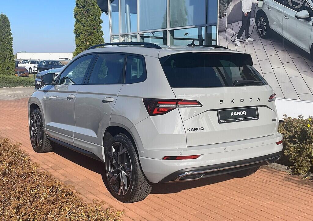 O121S10095_12.webp_KAROQ  110 kW