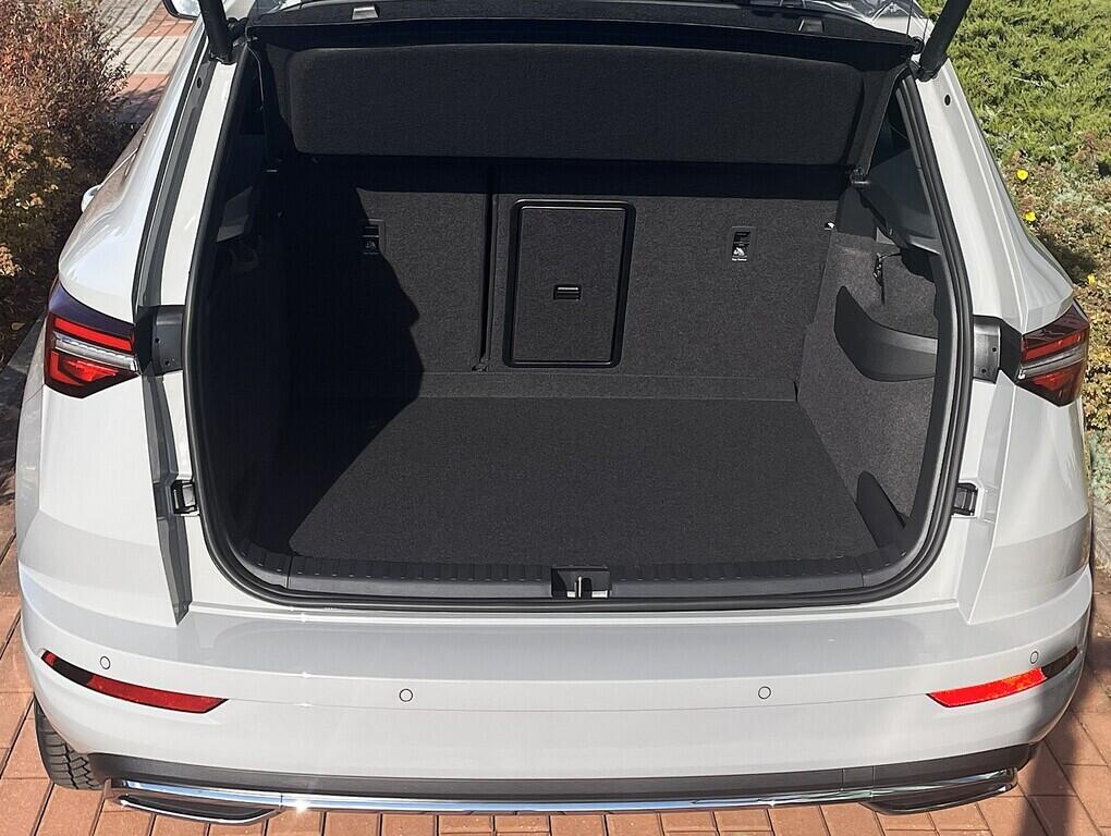 O121S10095_18.webp_KAROQ  110 kW