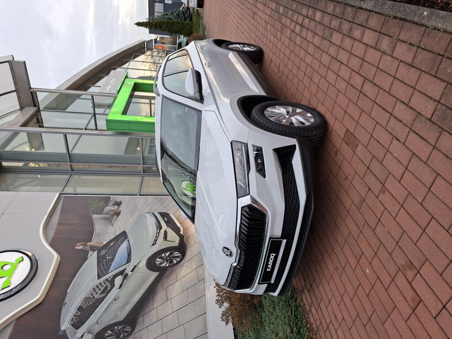 O121S10169_10.webp_KAROQ Selection 2,0 TDI 110 kW