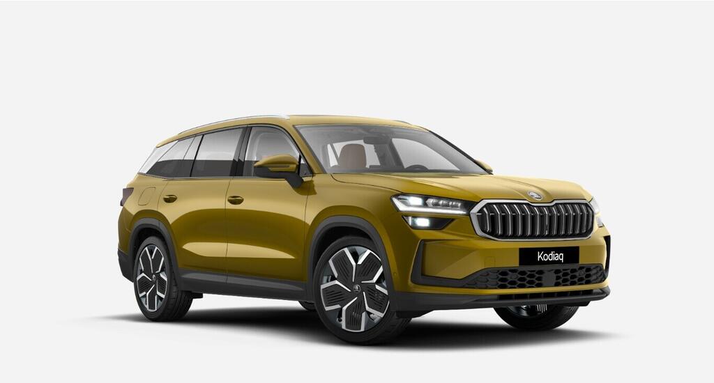 O211107697_10.webp_Kodiaq Exclusive Selection 2.0 TDI 4x4 142 kW   