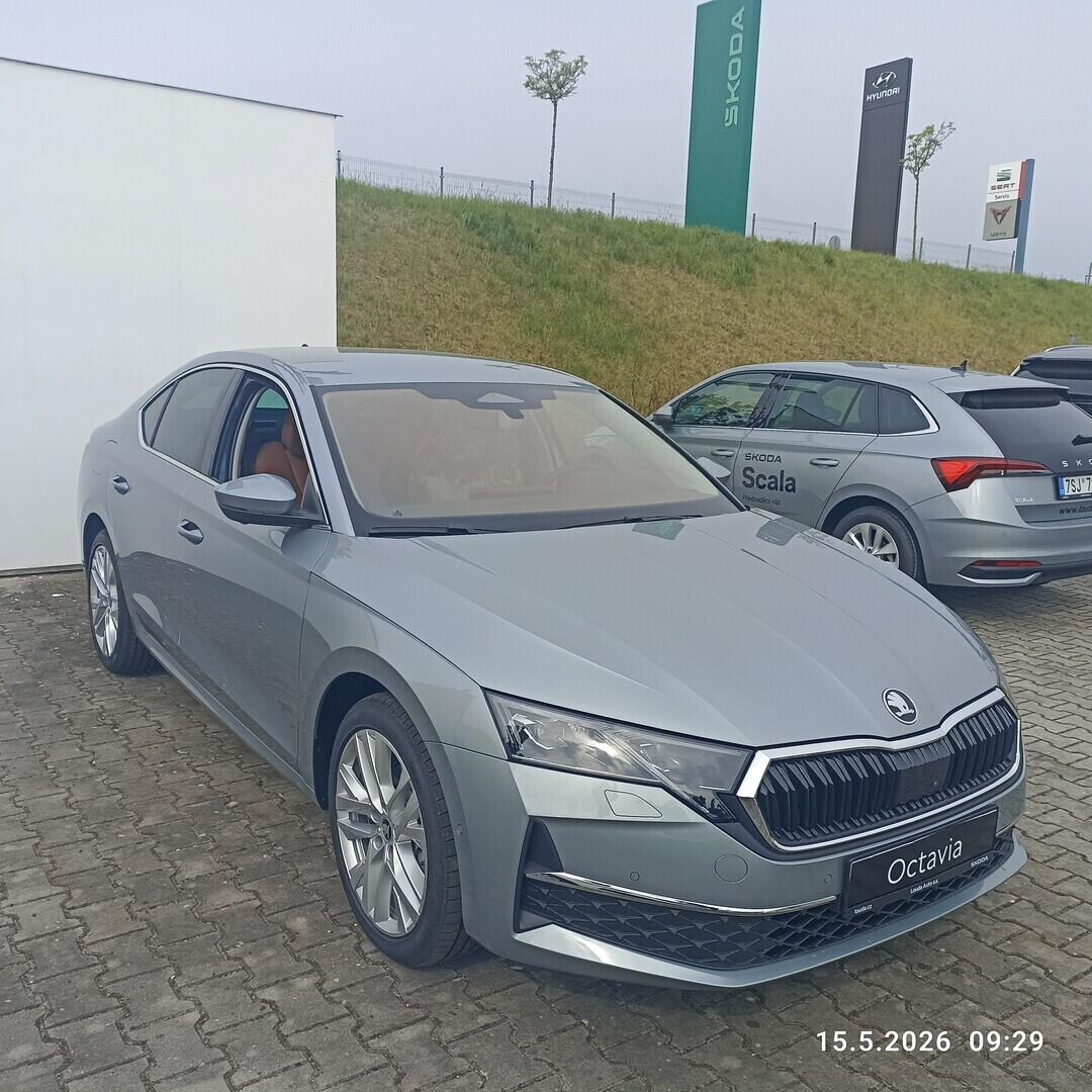 O211107748_16.webp_Octavia Exclusive Selection 2,0 TDI 110 kW 7°