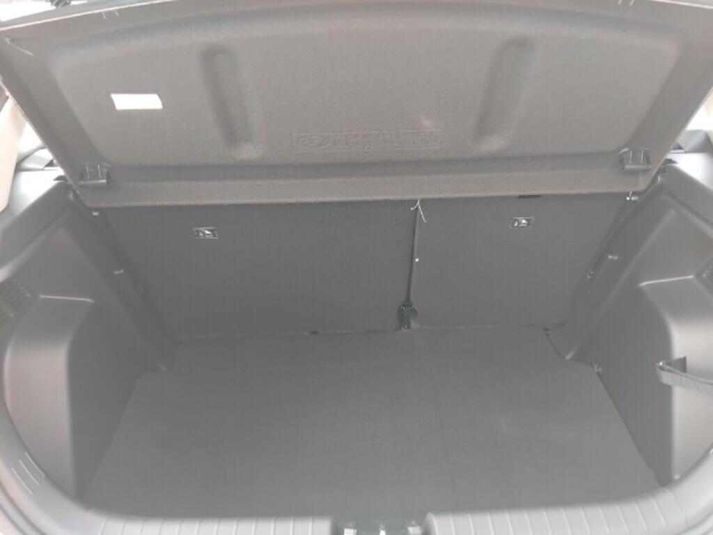 O241H04053_16.webp_I20 26 1,0 TGDI DCT GO! 66 kW