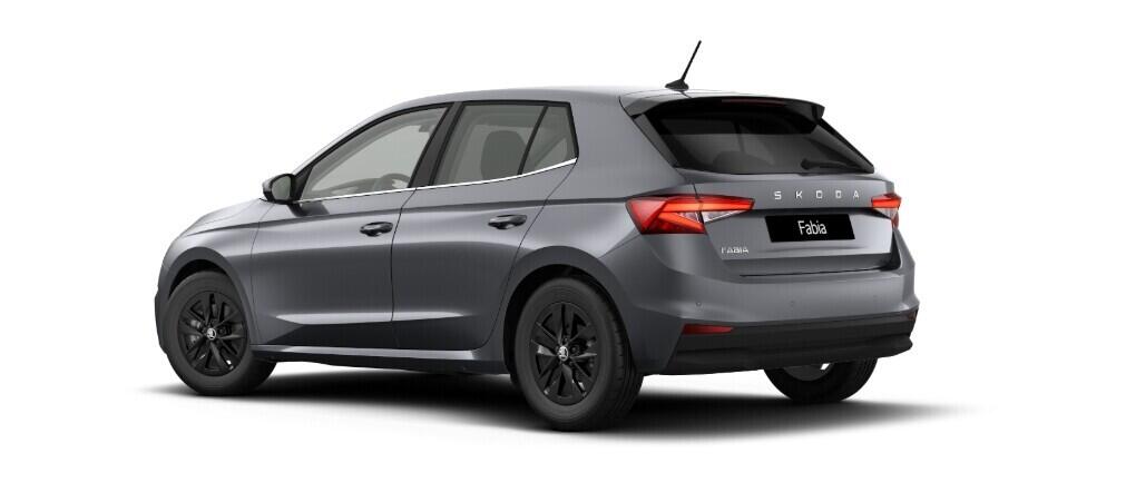 O611004470_12.webp_Fabia Top Selection 1,0 TSI 85 kW