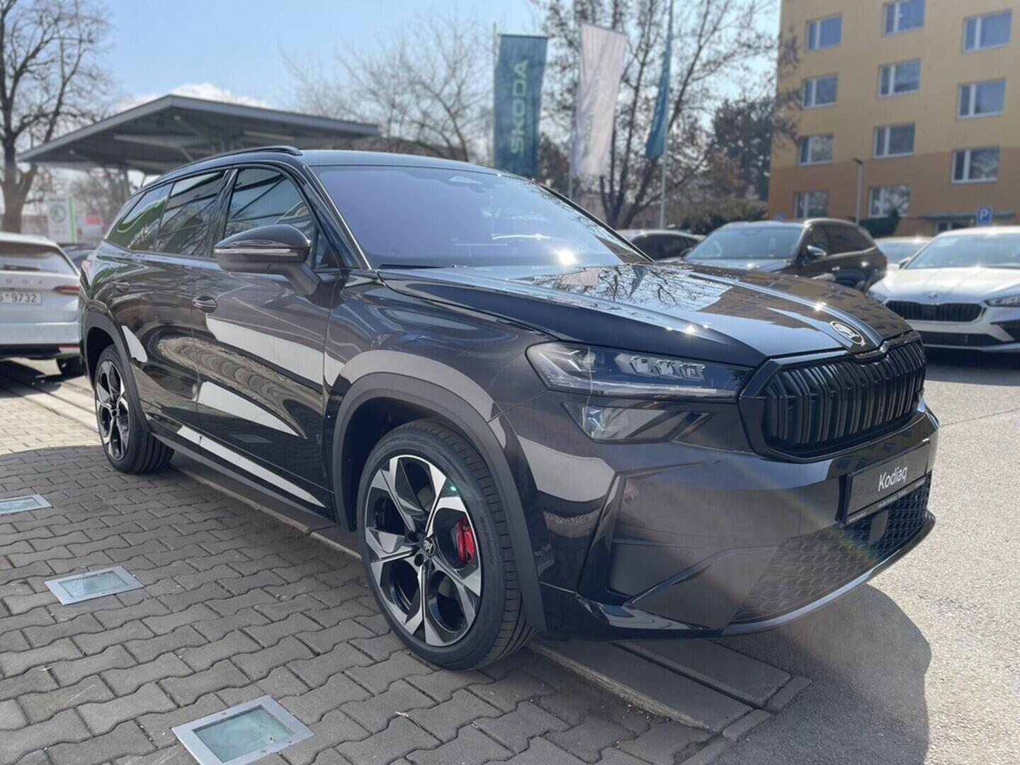 OI11002679_12.webp_Kodiaq RS 2.0 TSI 4x4 195 kW