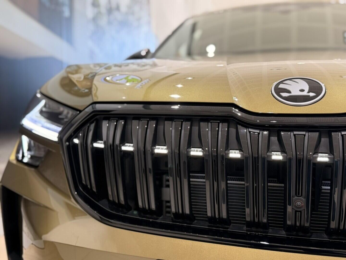 OI11002890_33.webp_Kodiaq Sportline 2,0 TSI 150 kW 4x4