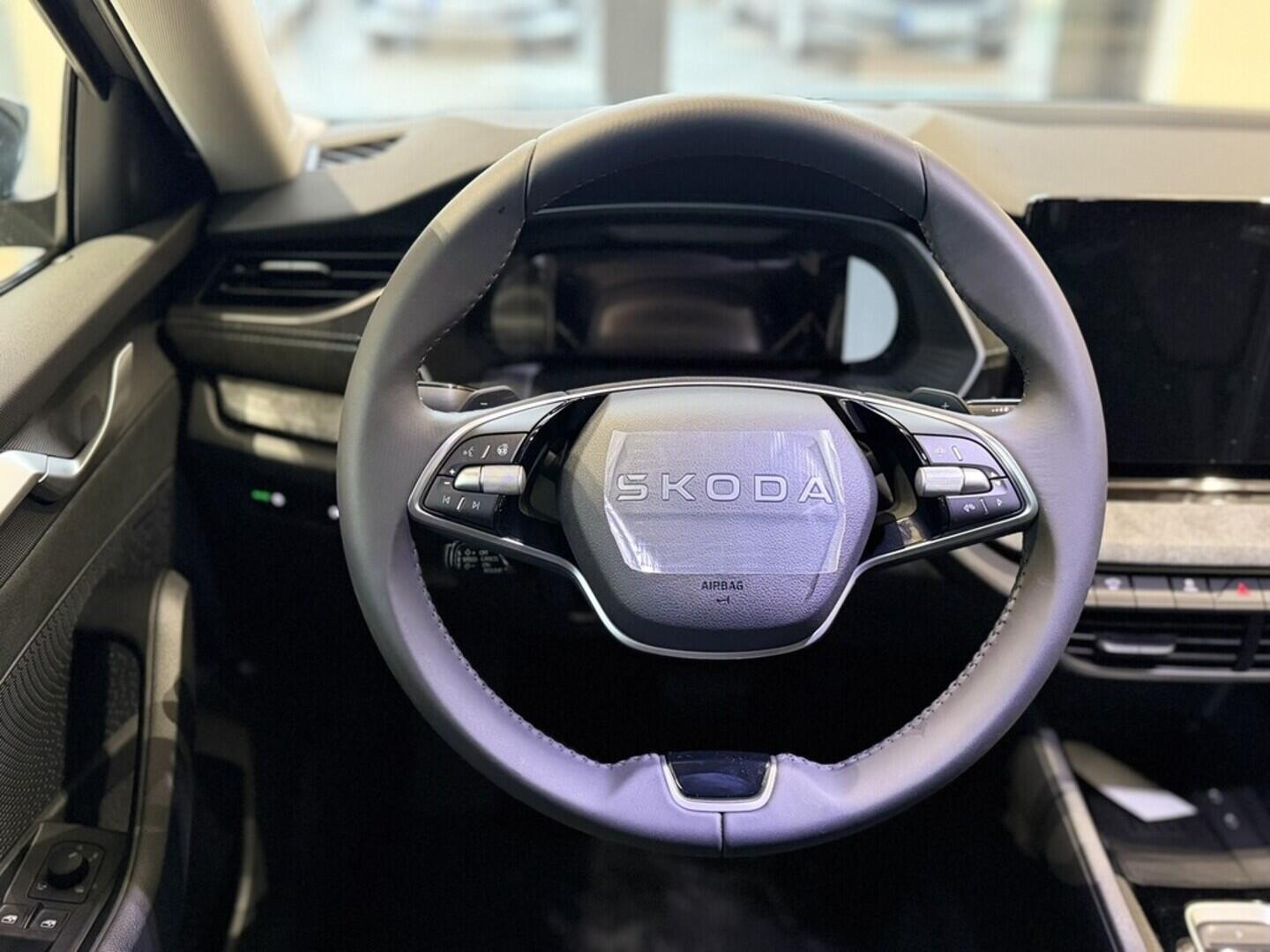 OI11002911_16.webp_Octavia Top Selection 2.0 TDI 110 kW DSG