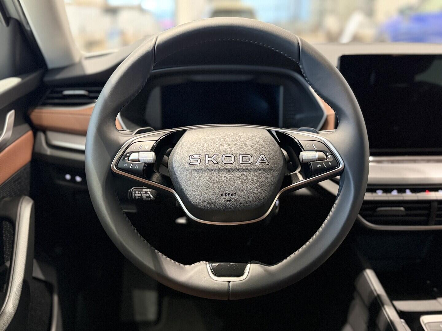 OI11002929_16.webp_Octavia Exclusive Selection 2.0 TDI 110 kW DSG