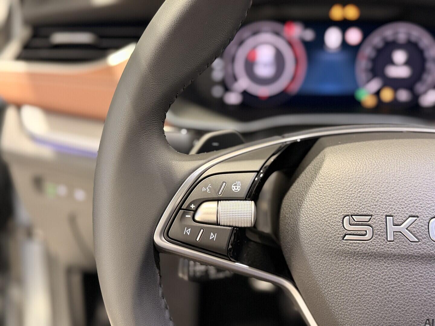 OI11002929_28.webp_Octavia Exclusive Selection 2.0 TDI 110 kW DSG