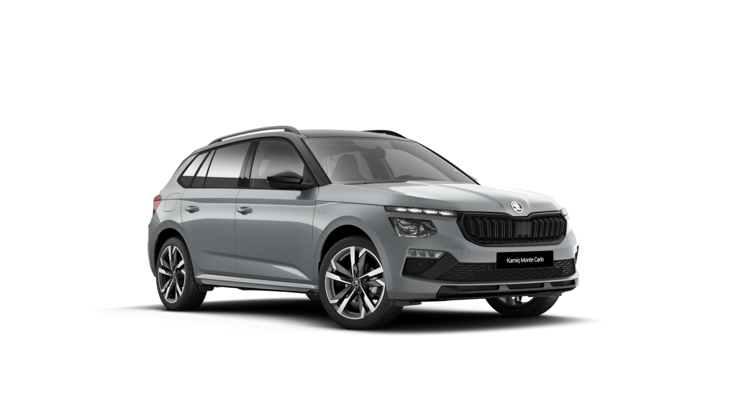 OI11002988_10.webp_KAMIQ  85 kW