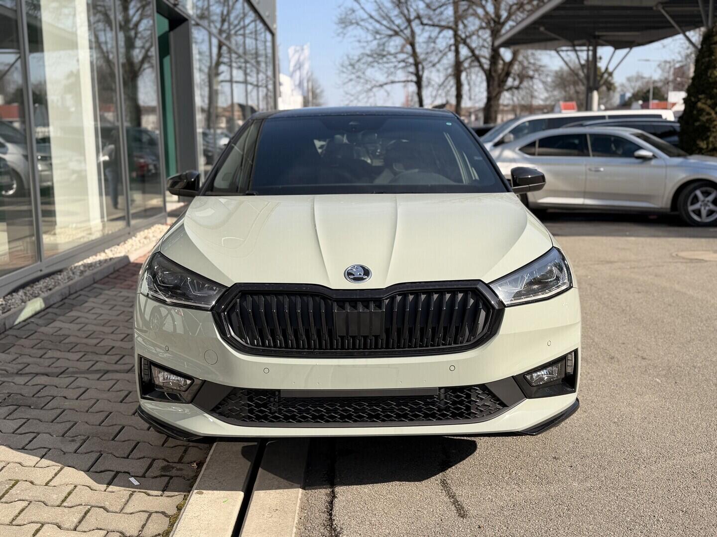 OI11003000_11.webp_Fabia Monte Carlo  1,0 TSI 85 kW