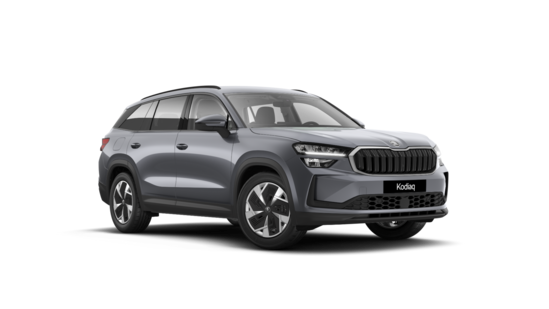 ŠKODA Kodiaq Selection  2,0 TDI 4x4 142 kW_1