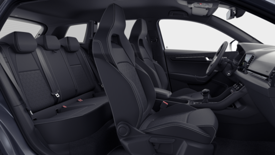 ŠKODA Karoq Sportline 2,0 TDI 110 kW 7-stup. automat._4
