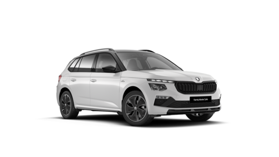 ŠKODA KAMIQ  110 kW_1