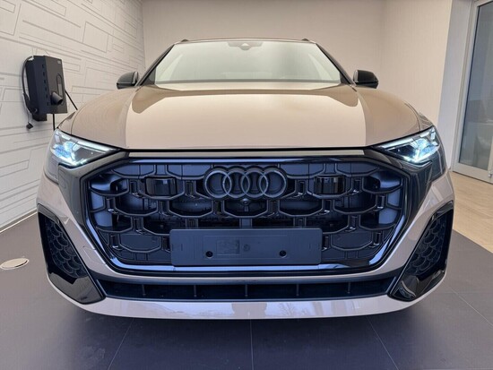 AUDI Q8 SUV 50 TDI quattro 210 kW_2