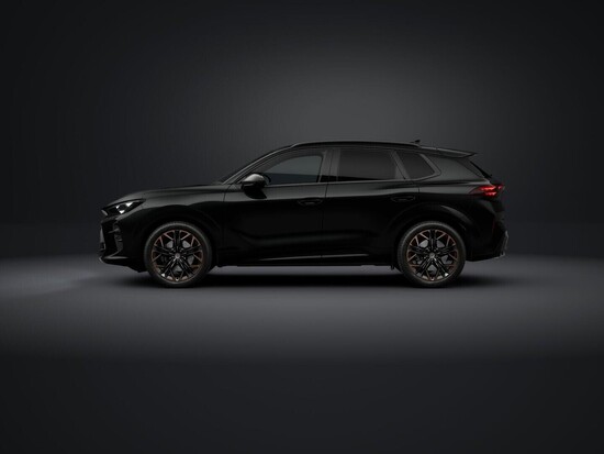 CUPRA Terramar 2.0 TSI 4WD 150 kW_3