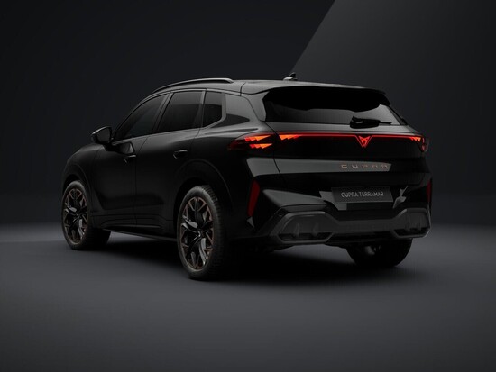 CUPRA Terramar 2.0 TSI 4WD 150 kW_4