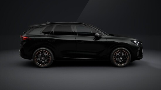 CUPRA Terramar 2.0 TSI 4WD 150 kW_5