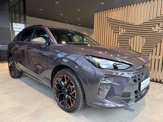 CUPRA Terramar VZ 2.0 TSI 4WD 195 kW_2