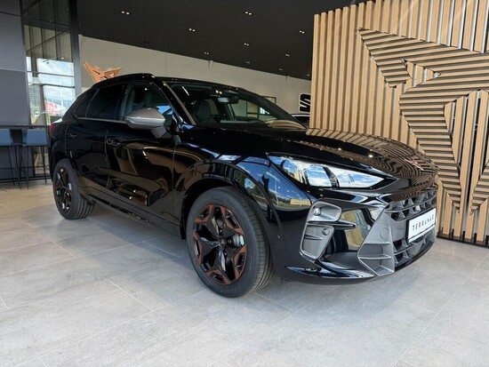 CUPRA Terramar 2.0 TSI 4WD 150 kW_2
