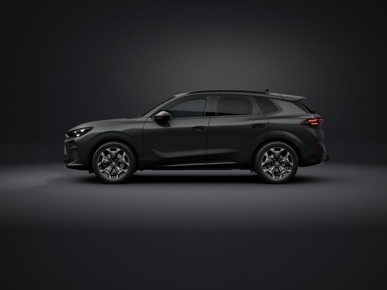CUPRA Terramar 2.0 TSI 4WD 150 kW_2
