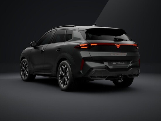 CUPRA Terramar 2.0 TSI 4WD 150 kW_3