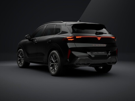 CUPRA Terramar 1.5 eTSI 110 kW_3