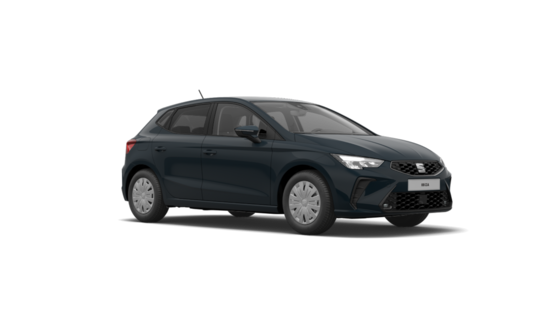 SEAT Ibiza Reference  1.0 MPI  59 kW_5