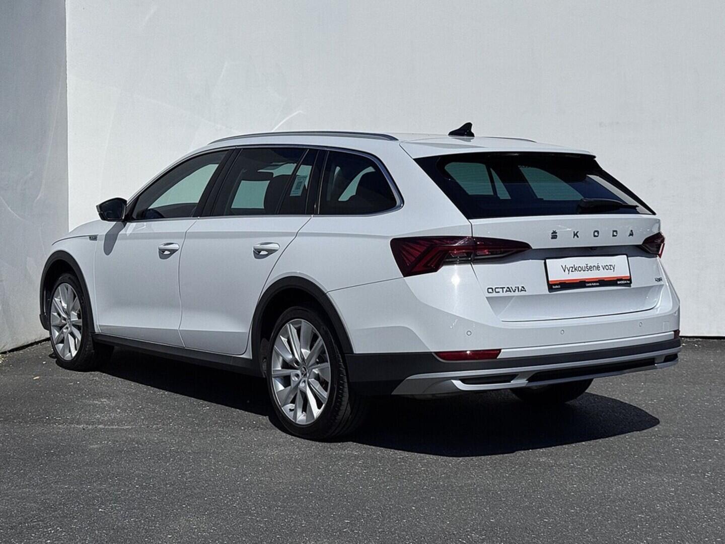 O419V07699_15.webp_OCTAVIA Scout 2.0 TDI 147 kW automat, DPH