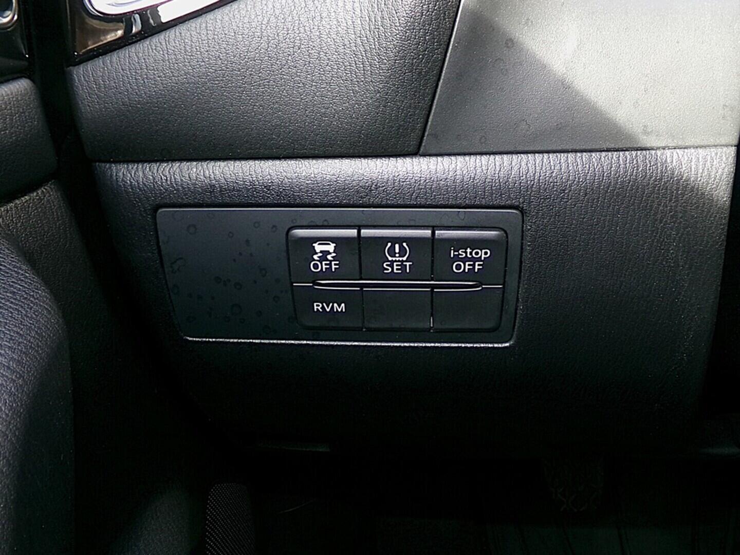 O419V07828_22.webp_3 Revolution 2.0  88 kW manuál