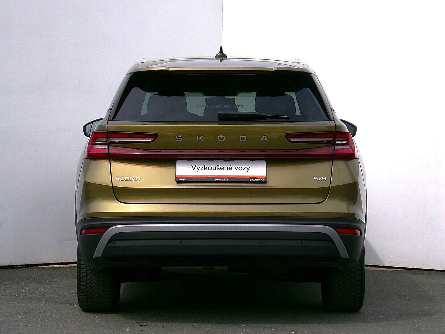 O419V08157_17.webp_KODIAQ Exclusive Selection 2.0 TDI 142 kW automat, DPH