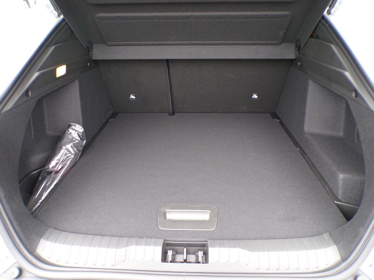 O419V08207_31.webp_ARKANA RS-line 1.3 TCe 103 kW automat, DPH