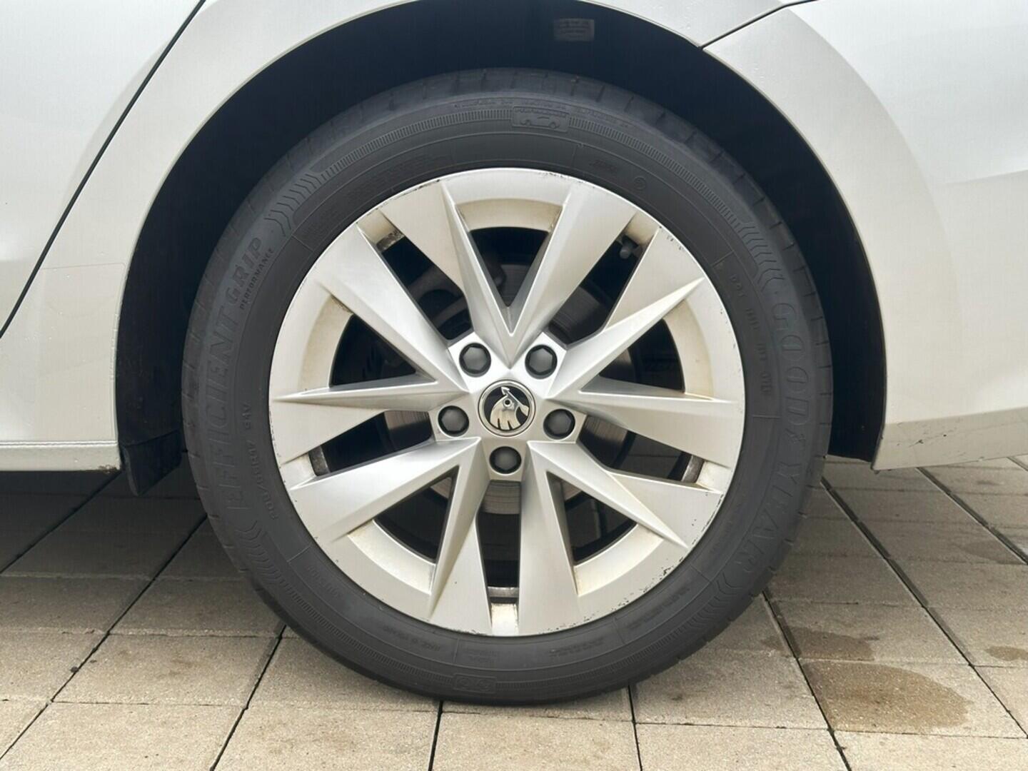 O619V07296_31.webp_OCTAVIA Top Selection 2.0 TDI 110 kW automat, DPH