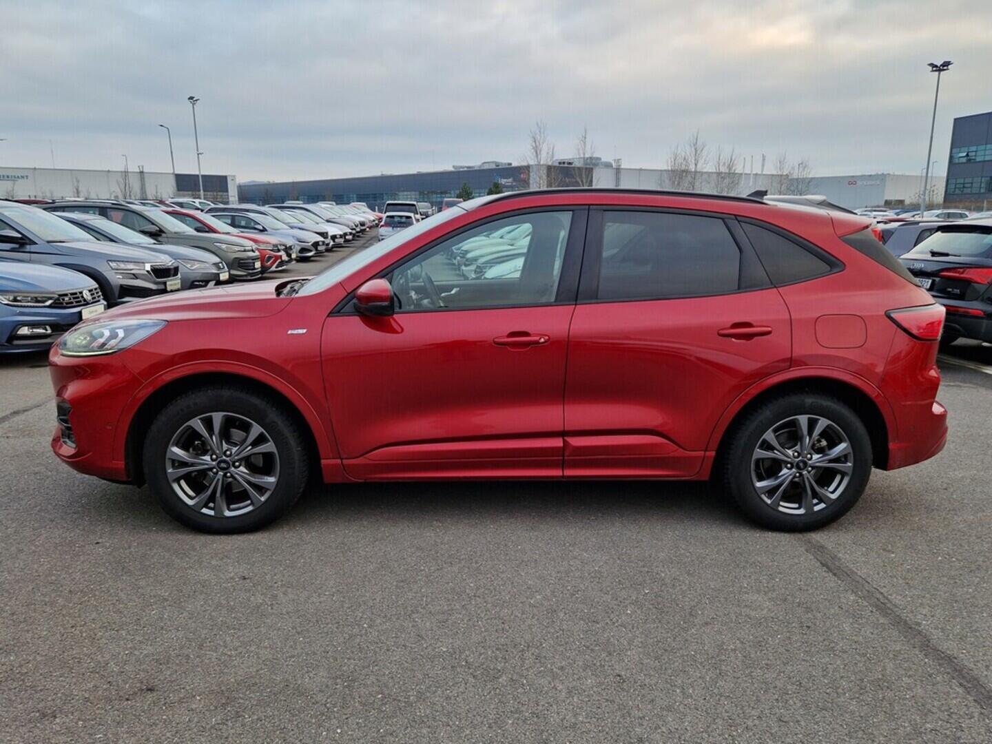 O619V07543_12.webp_KUGA ST-line 2.0 EcoBlue 140 kW automat