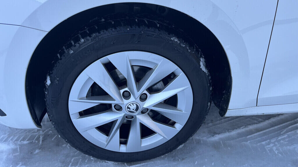 OB199V00704_27.webp_OCTAVIA Style 2.0 TDI 85 kW manuál, DPH