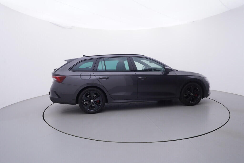 OV190K00052_15.webp_OCTAVIA RS 2.0 TSI 195 kW automat, DPH