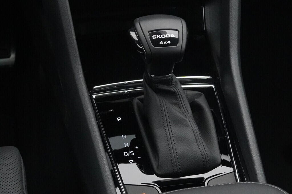 OV190V07218_39.webp_KODIAQ  2.0 TDI 147 kW automat, DPH
