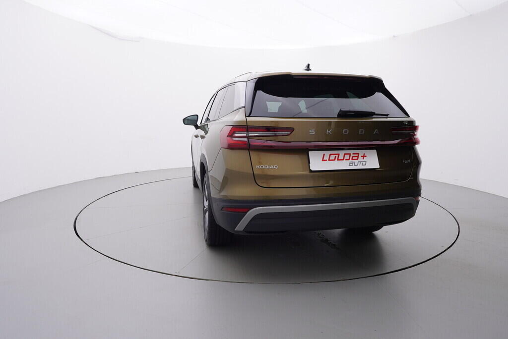 OV190V07298_13.webp_KODIAQ Selection 2.0 TDI 142 kW automat, DPH