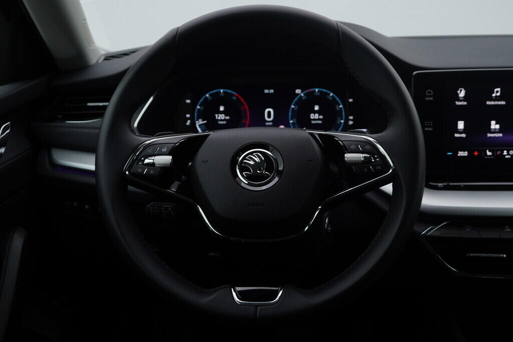 OV190V07842_27.webp_OCTAVIA Style 2.0 TDI 110 kW automat, DPH