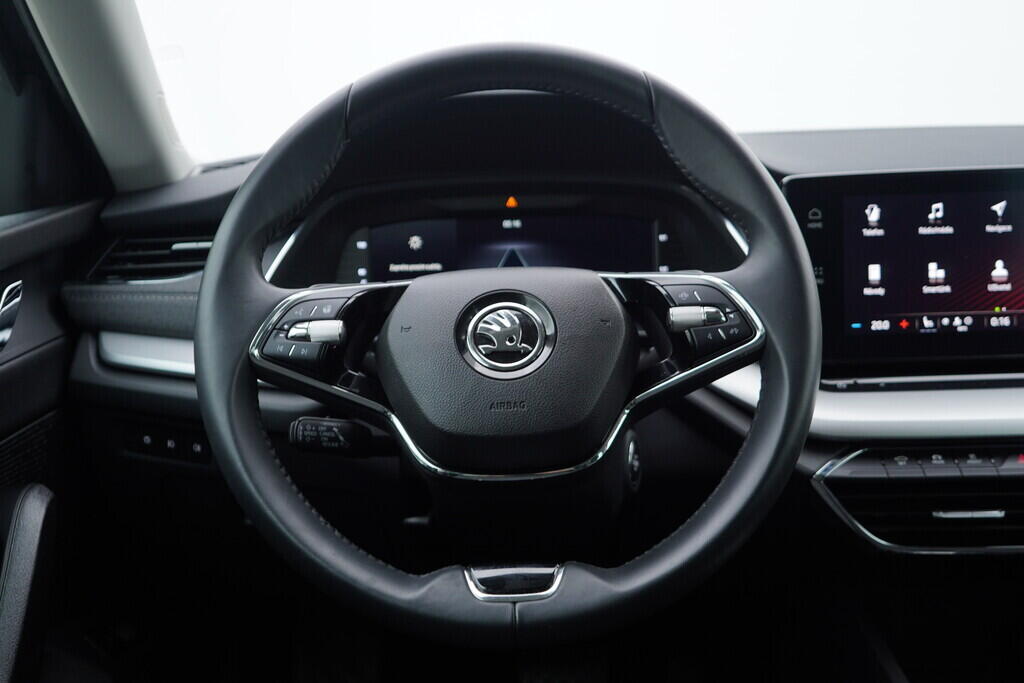 OV190V07961_27.webp_OCTAVIA Style Plus 2.0 TDI 110 kW automat, DPH