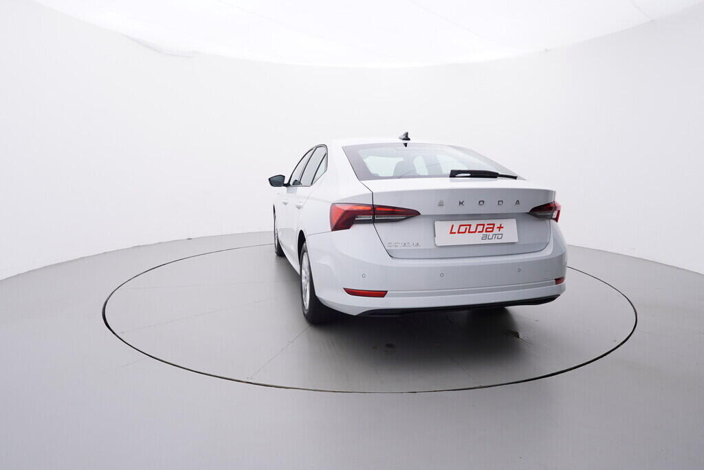 OV190V08353_13.webp_OCTAVIA  2.0 TDI 85 kW manuál, DPH