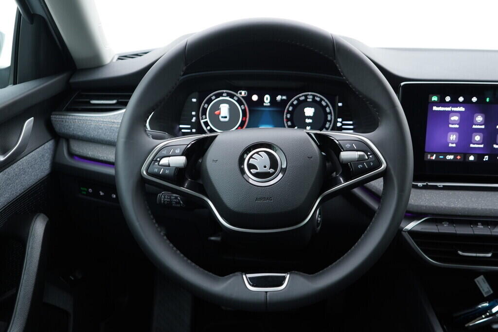OV190V08655_28.webp_OCTAVIA Top Selection 1.5 TSI 110 kW manuál, DPH