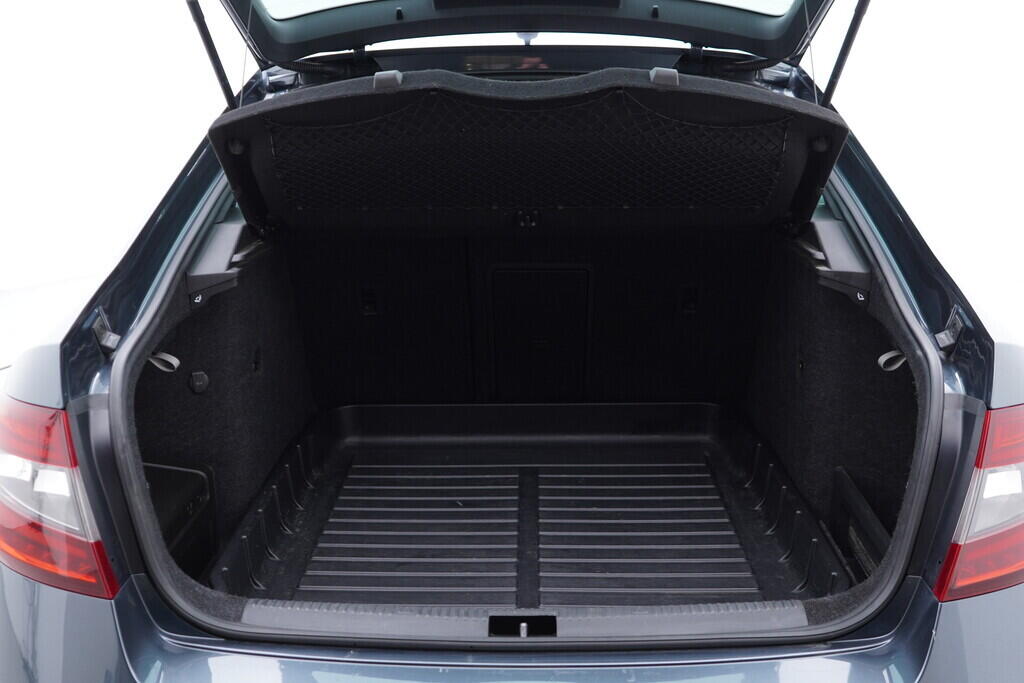OV190V09178_38.webp_OCTAVIA RS 2.0 TDI 135 kW automat, DPH