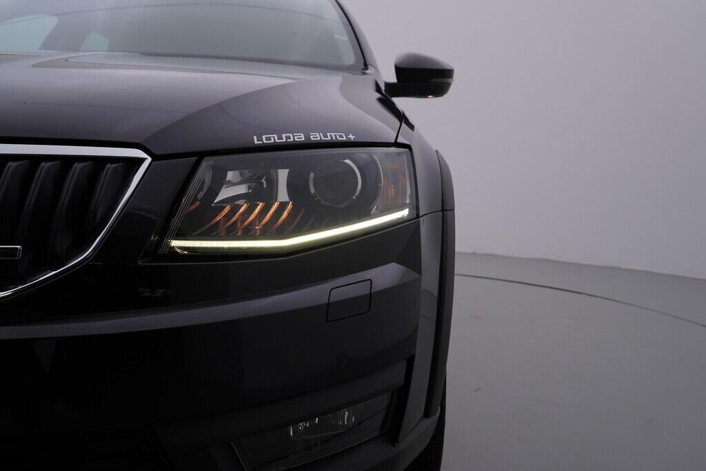 OV190V09398_47.webp_OCTAVIA Scout 2.0 TDI 135 kW automat