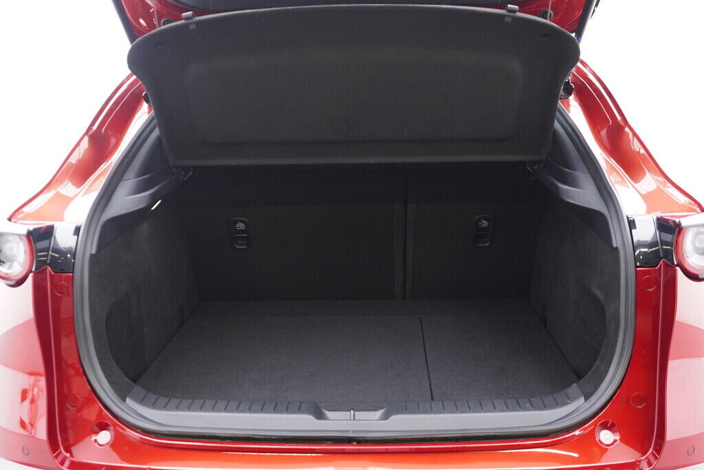 OV190V09732_38.webp_CX-30  2.0  110 kW automat