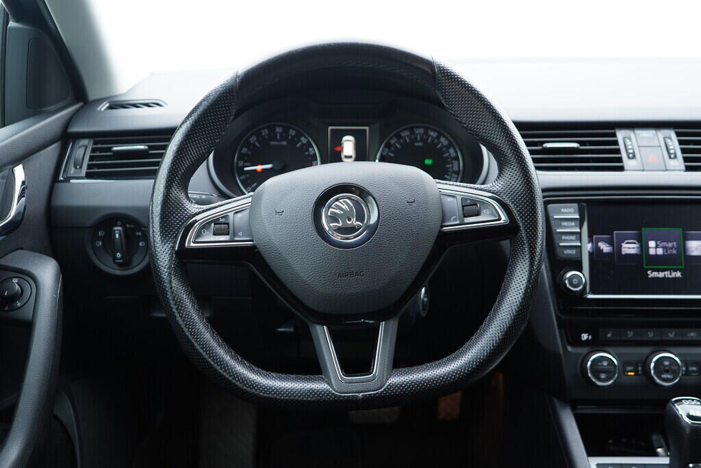 OV190V09771_27.webp_OCTAVIA Style Plus 2.0 TDI 135 kW automat