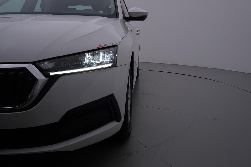 OV190V10498_39.webp_OCTAVIA Ambition 2.0 TDI 85 kW manuál, DPH