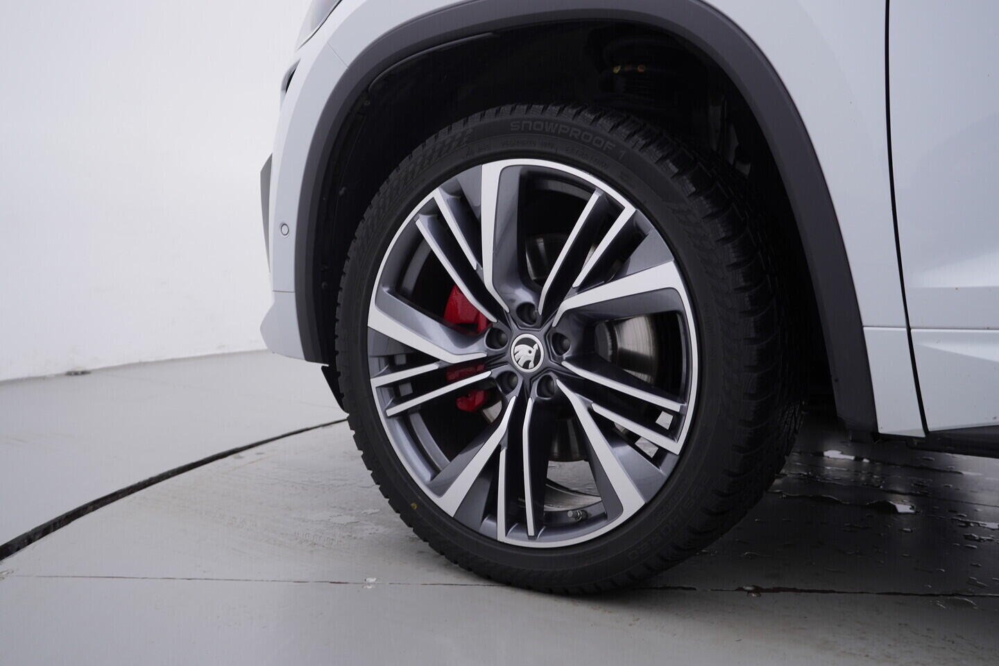 OV190V10565_48.webp_KODIAQ RS 2.0 TSI 180 kW automat, DPH