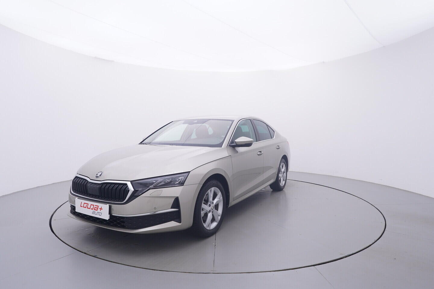 OV190V11453_10.webp_OCTAVIA Top Selection 1.5 TSI 110 kW manuál, DPH